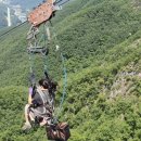 아리힐스(짚와이어) 이미지