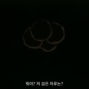 대도회 네이버블로그