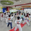 파파태권도장 이미지