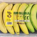 바나나 티스토리