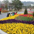 팔달구청 앞 이미지