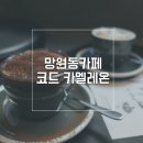 코드카멜레온 이미지