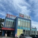 명품물회 티스토리