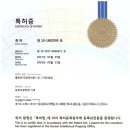 엠에스알 이미지