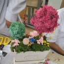 스칸디아모스아트(A) | 의정부중학교원예테라피수업 [스칸디아모스 토피어리정원만들기] 의정부청소년원예아트수업