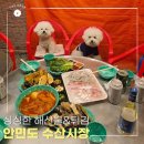안면도 수산시장 포장으로 즐긴 회, 튀김 및 주차정보