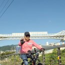 낙동강관리본부 화명생태공원 10 네이버블로그