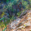 불암약수 이미지