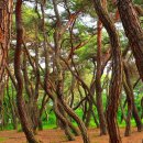 소나무PC방 이미지