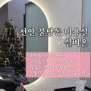100세동안 실버케어 | 천안 불당동 미용실 또간집 | 6레벨 초코브라운 시세이도 저자극 염색 후기 <실버온>