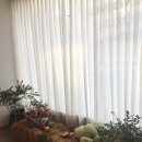 행복한마켓