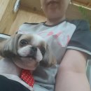 행복하개 애견샵 이미지