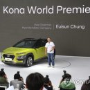 코나글로벌 이미지