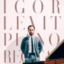 레빗(Levit) 이미지