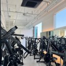 샤이닝 짐 이미지