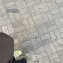 예림약국 | 1월이 왔다🌞