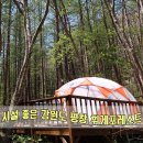 그림상회 스테이 | 시설 좋은 강원도 평창 휘게포레스트 캠핑장추천