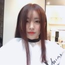 짜르지오 이미지