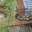 정남진정형외과의원 이미지