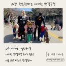 과천 렛츠런파크 벚꽃축제 삼남매와 주말에 다녀온 후기