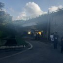 흥림농장 이미지