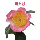 아소낭 네이버블로그