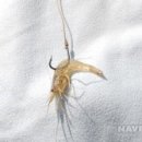 대어낚시 - 익산시 가람로 361 | 대어낚시