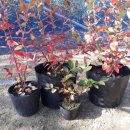 연동농장 이미지