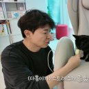 다홍 OSEN