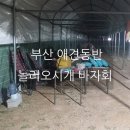 놀러오시개 네이버블로그