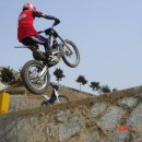 팀 드래곤 이미지