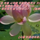 베르네일 - 경산시 서사도리7로 15 | 베르네일