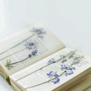 압화공예 이미지