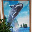 장생포고래박물관 이미지