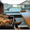 서광리-8 | 신화월드 맛집 삼겹살 추천! 흑돼지백돈면 백돼지근고기 후기