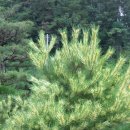 남송농원 이미지