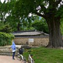 김동식외과의원 이미지