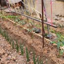 억조농장 이미지