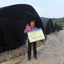 장수버섯 이미지