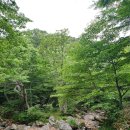 구름약국 | [제주] 한라산 영실코스 - 주차장, 등산 시간, 6월 옷차림, 꿀팁