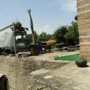 고창농장 이미지