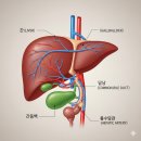 오늘내과의원 네이버블로그