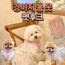 펫코디 | 강아지봄옷 추천! 펫후크 반짝이 퍼조끼 착용 후기