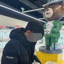 인천강아지분양 테디럽 이미지