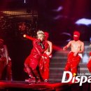 스타인터내셔널