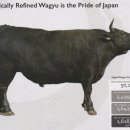 화우농장 이미지