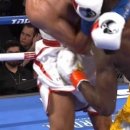 크로포드 이미지