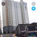 보니또펫 이미지