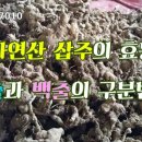 자연산약초마을 이미지