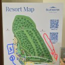 푸르고드림 | 세부 수밀론 리조트 스노클링 프리다이빙 스팟 해파리 알려드림